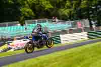 cadwell-no-limits-trackday;cadwell-park;cadwell-park-photographs;cadwell-trackday-photographs;enduro-digital-images;event-digital-images;eventdigitalimages;no-limits-trackdays;peter-wileman-photography;racing-digital-images;trackday-digital-images;trackday-photos